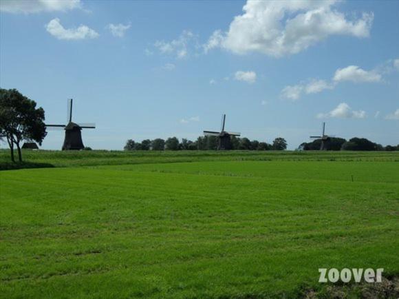 Отель De Gouden Karper Rustenburg Экстерьер фото